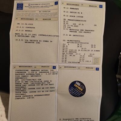 Kawasaki Ninja 1000 SX Tourer (2021 - 24) usata