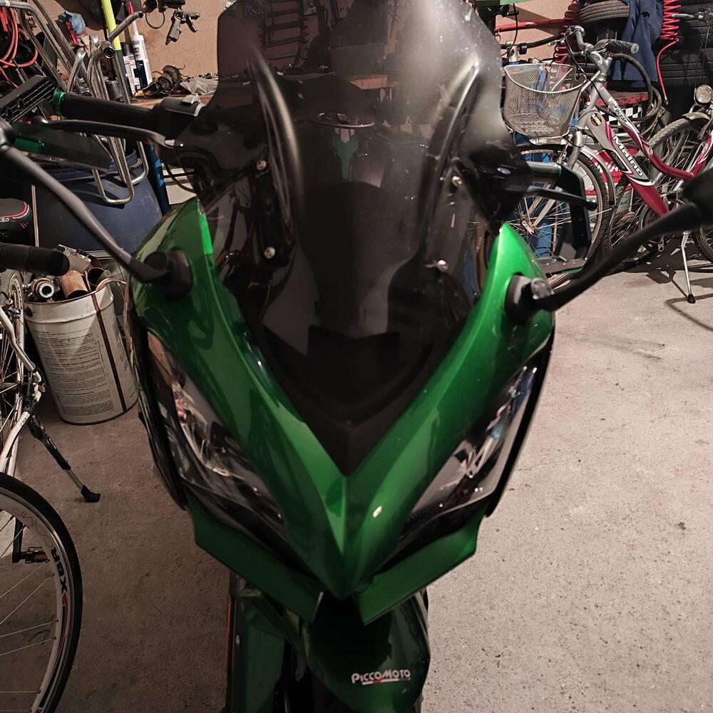 Kawasaki Ninja 1000 SX Tourer (2021 - 24) (3)