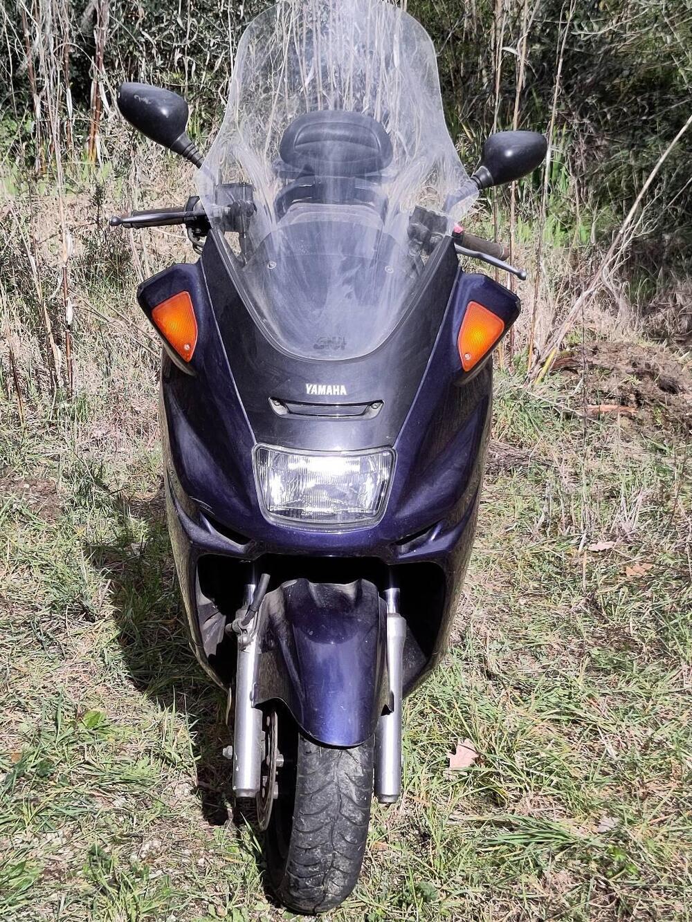 Yamaha Majesty 250 DX (1998 - 02) (2)