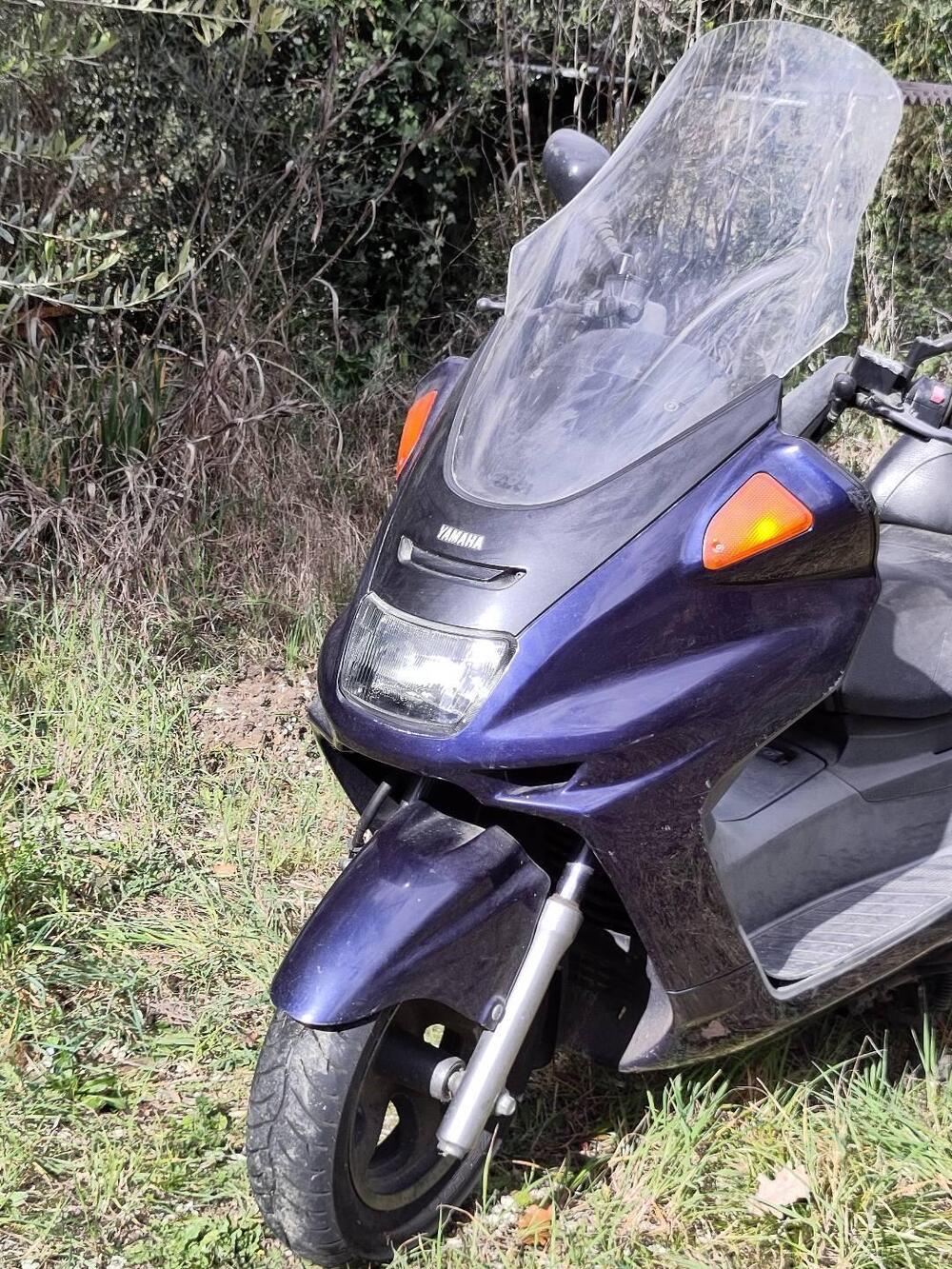 Yamaha Majesty 250 DX (1998 - 02) (4)