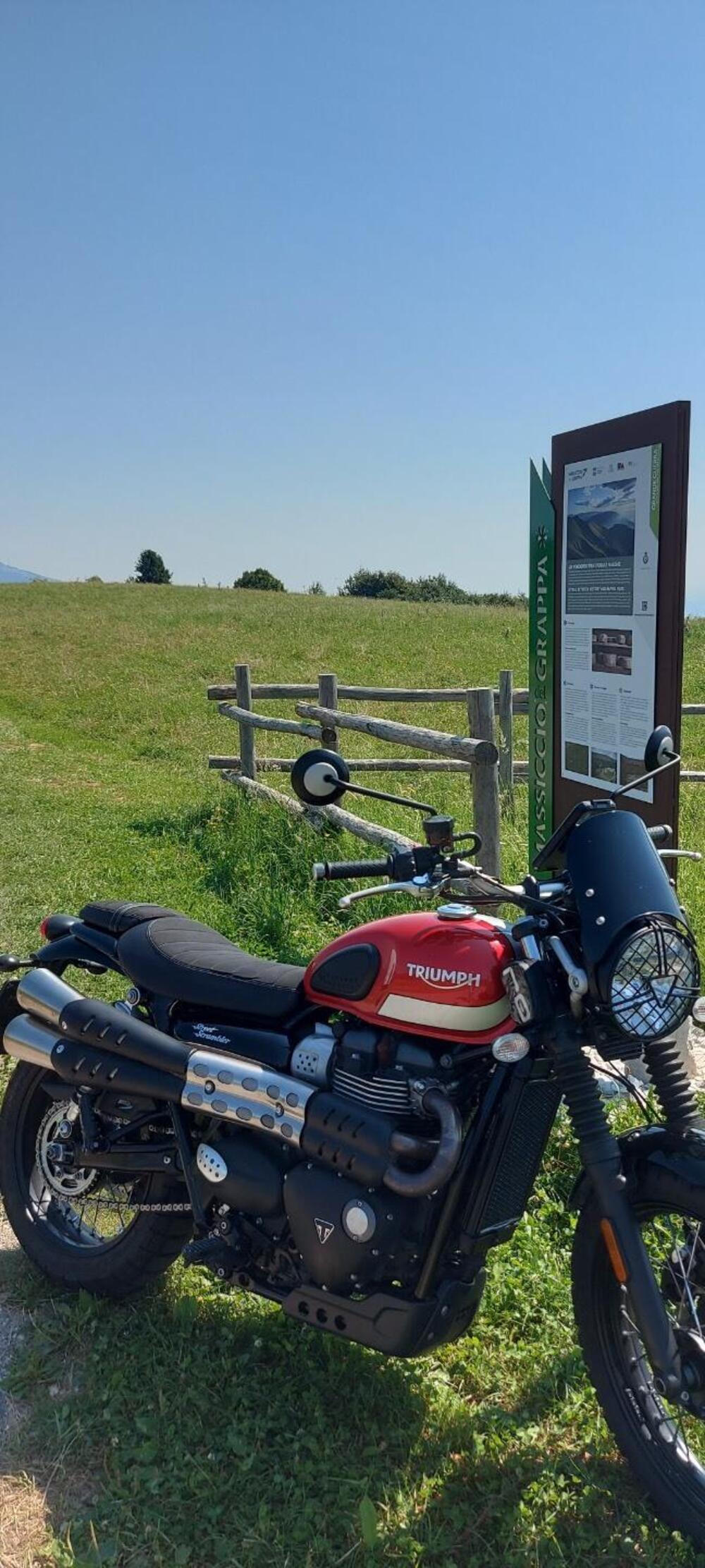 Triumph Street Scrambler 900 (2017 - 18) (6)