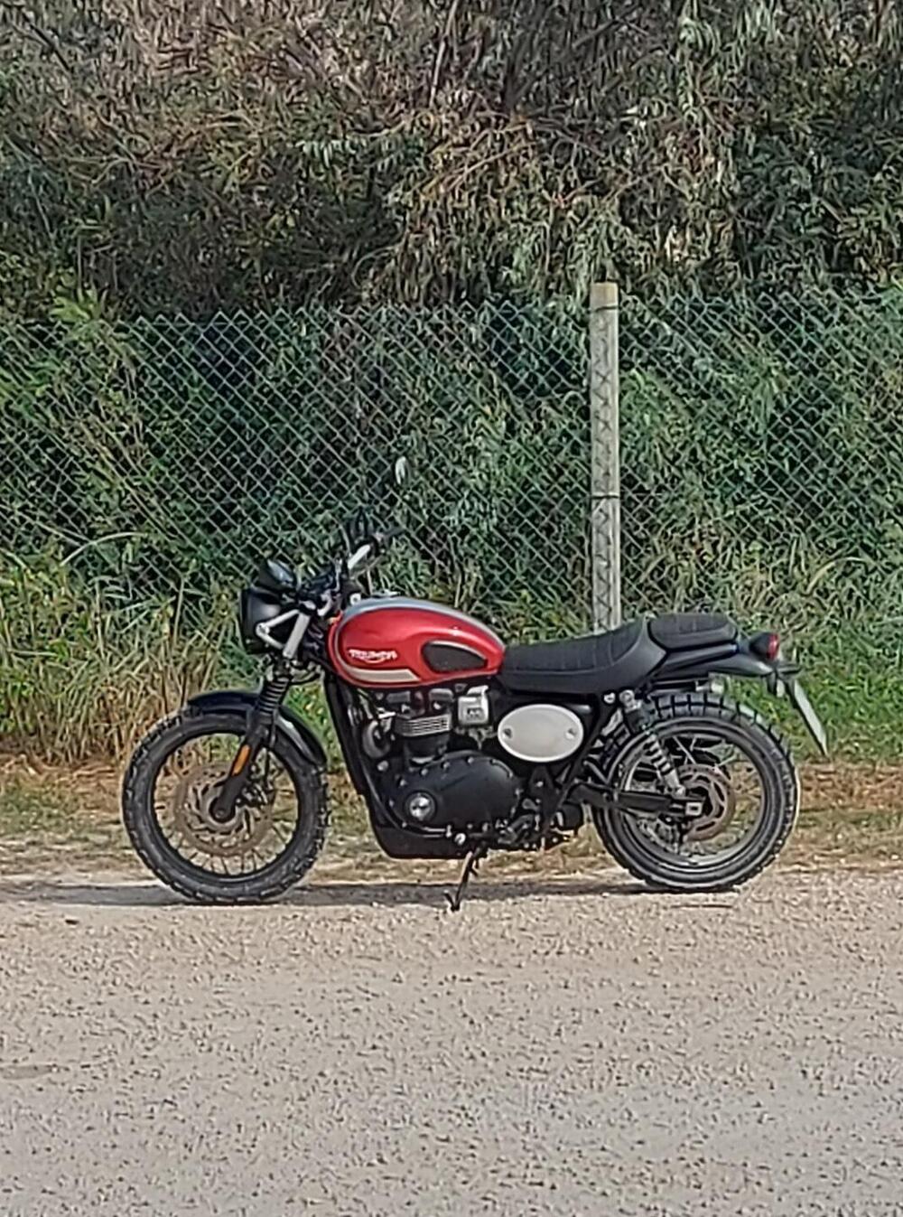 Triumph Street Scrambler 900 (2017 - 18) (7)