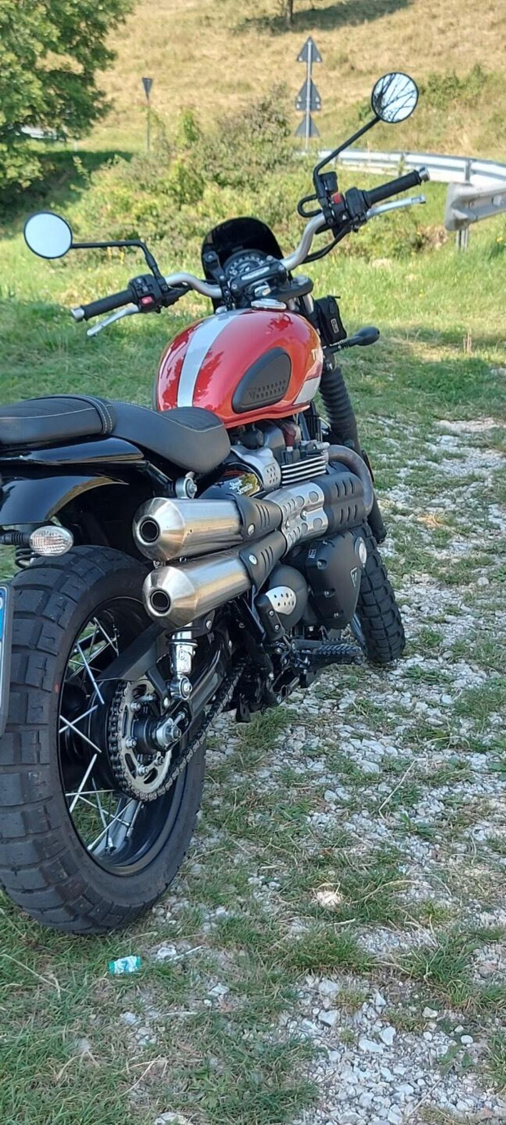 Triumph Street Scrambler 900 (2017 - 18) (10)