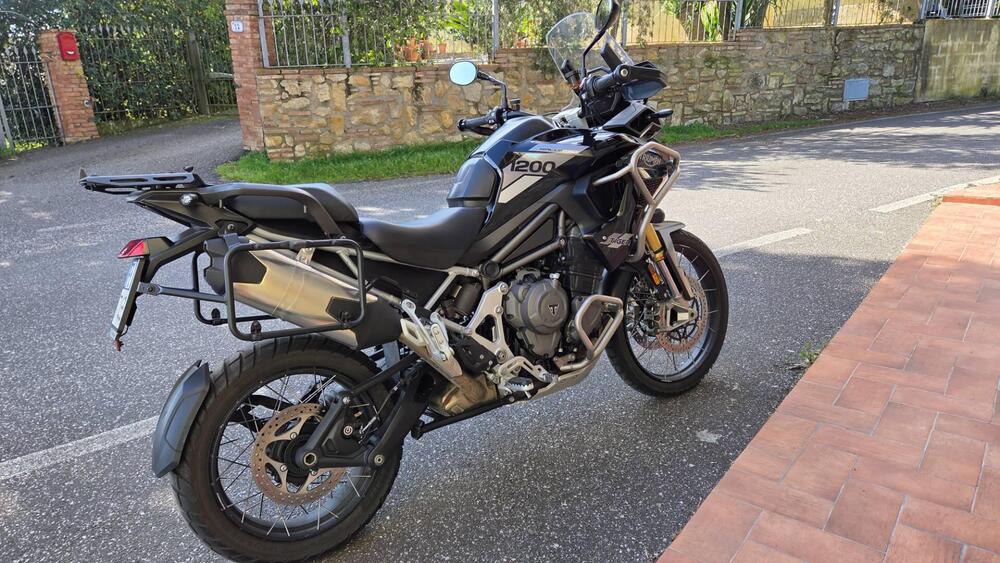 Triumph Tiger 1200 Rally Pro (2022 - 23) (3)