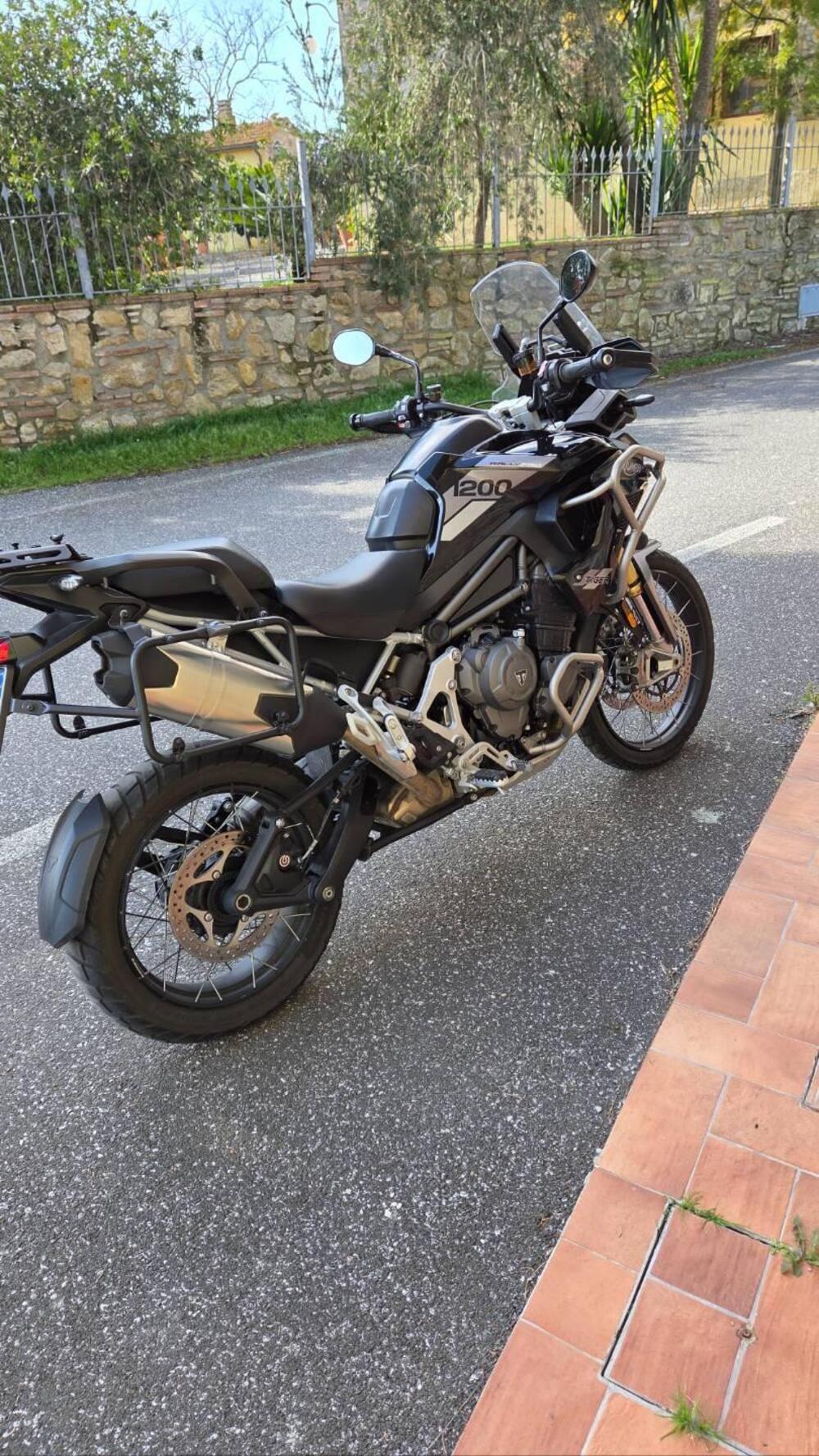 Triumph Tiger 1200 Rally Pro (2022 - 23) (6)