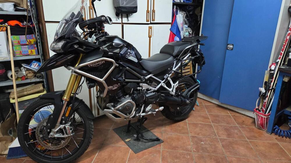 Triumph Tiger 1200 Rally Pro (2022 - 23) (7)