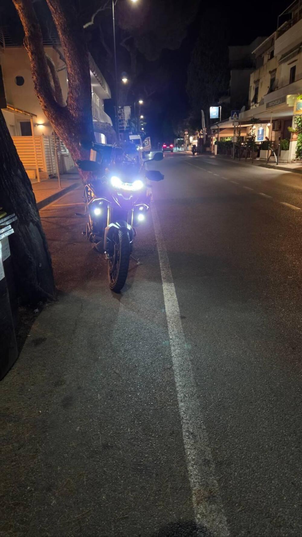 Triumph Tiger 1200 Rally Pro (2022 - 23) (8)