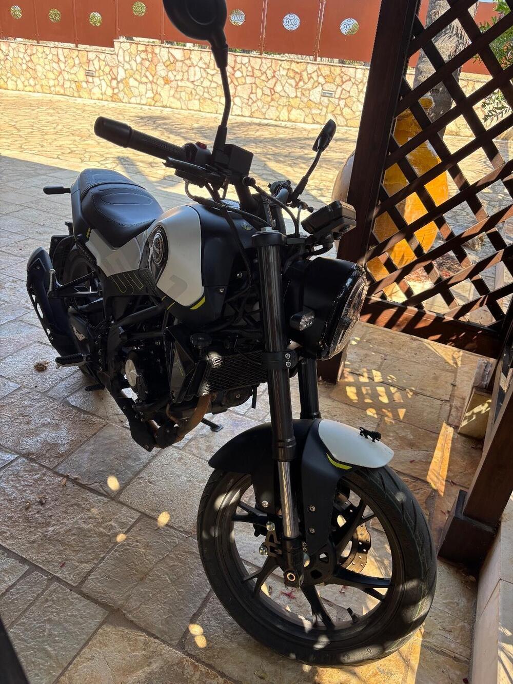 Benelli Leoncino 125 (2022 - 25) (7)