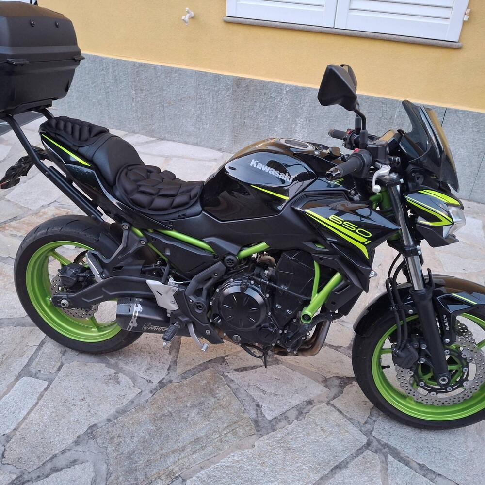 Kawasaki Z 650 (2021 - 24) (5)