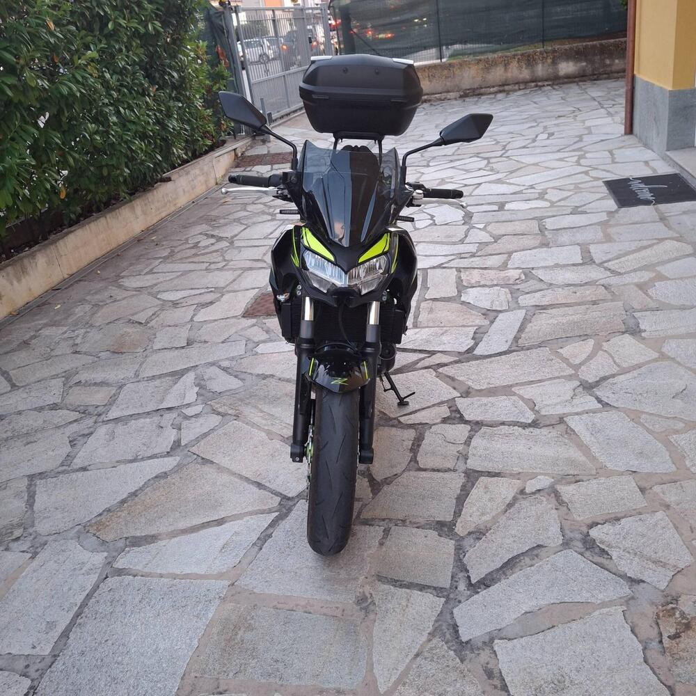 Kawasaki Z 650 (2021 - 24) (6)