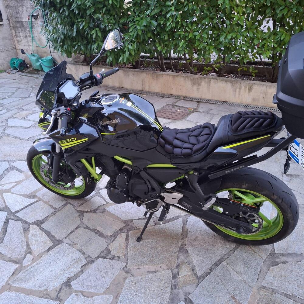 Kawasaki Z 650 (2021 - 24) (7)
