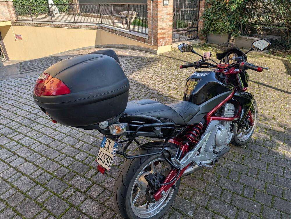 Kawasaki ER-6N (2005 - 08) (3)