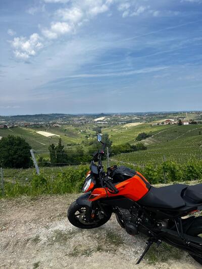 KTM 790 Duke (2018 - 20) usata