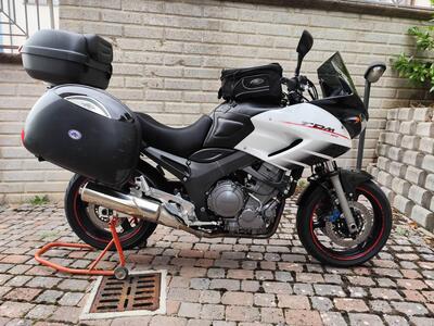 Yamaha TDM 900 (2002 - 14) usata
