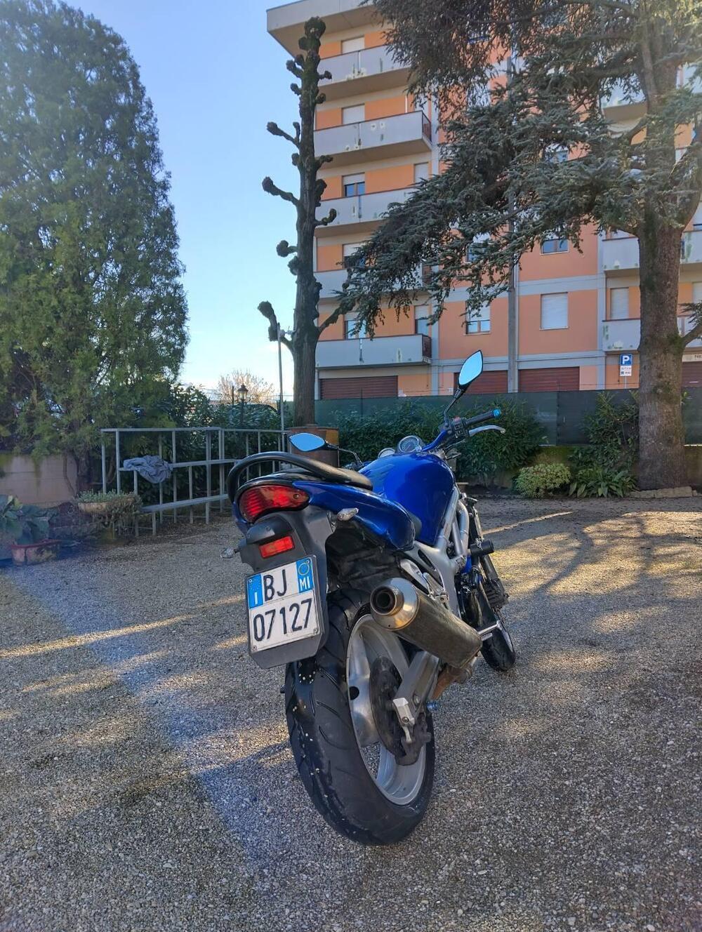 Suzuki SV 650 (1999 - 02) (3)