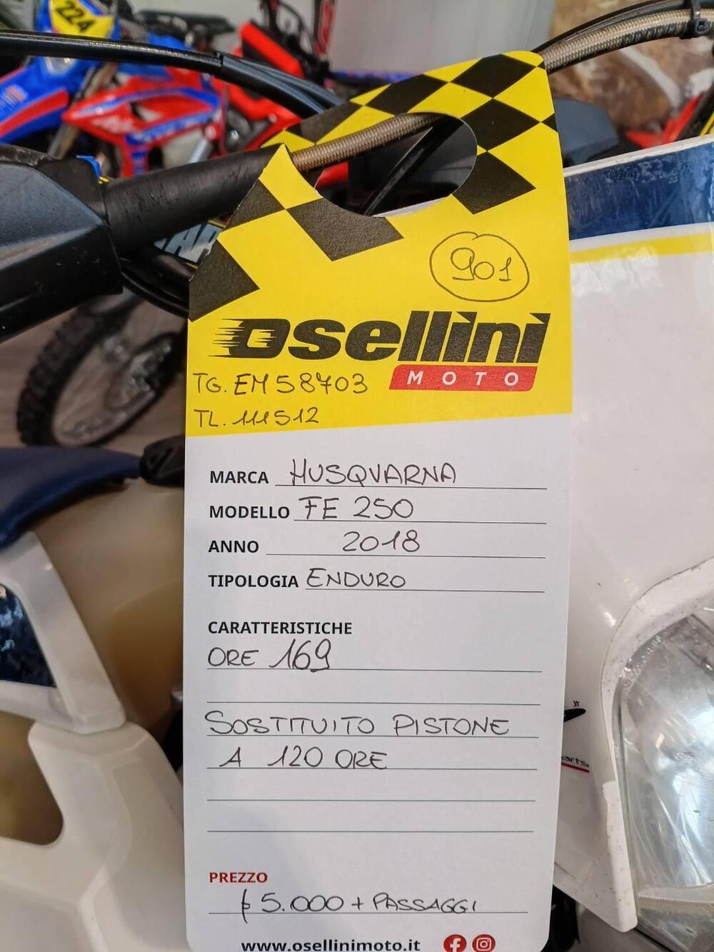 Husqvarna FE 250 (2018) (8)