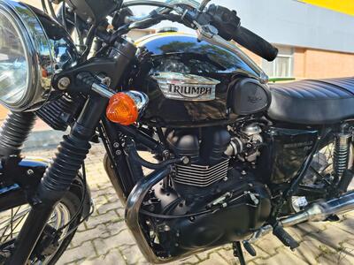 Triumph Bonneville T100 (2008 - 16) usata