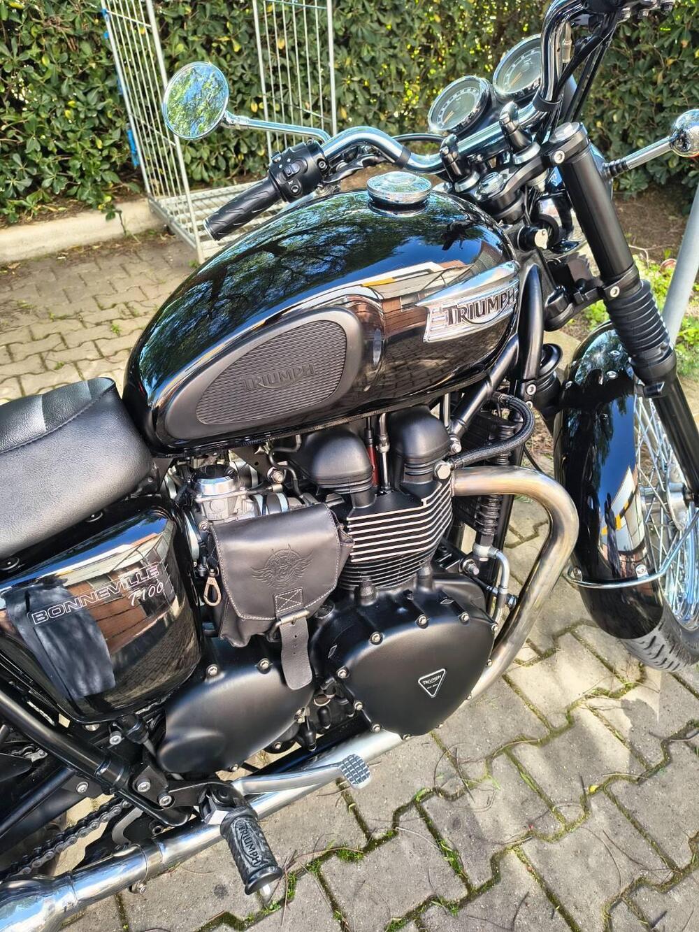 Triumph Bonneville T100 (2008 - 16) (3)