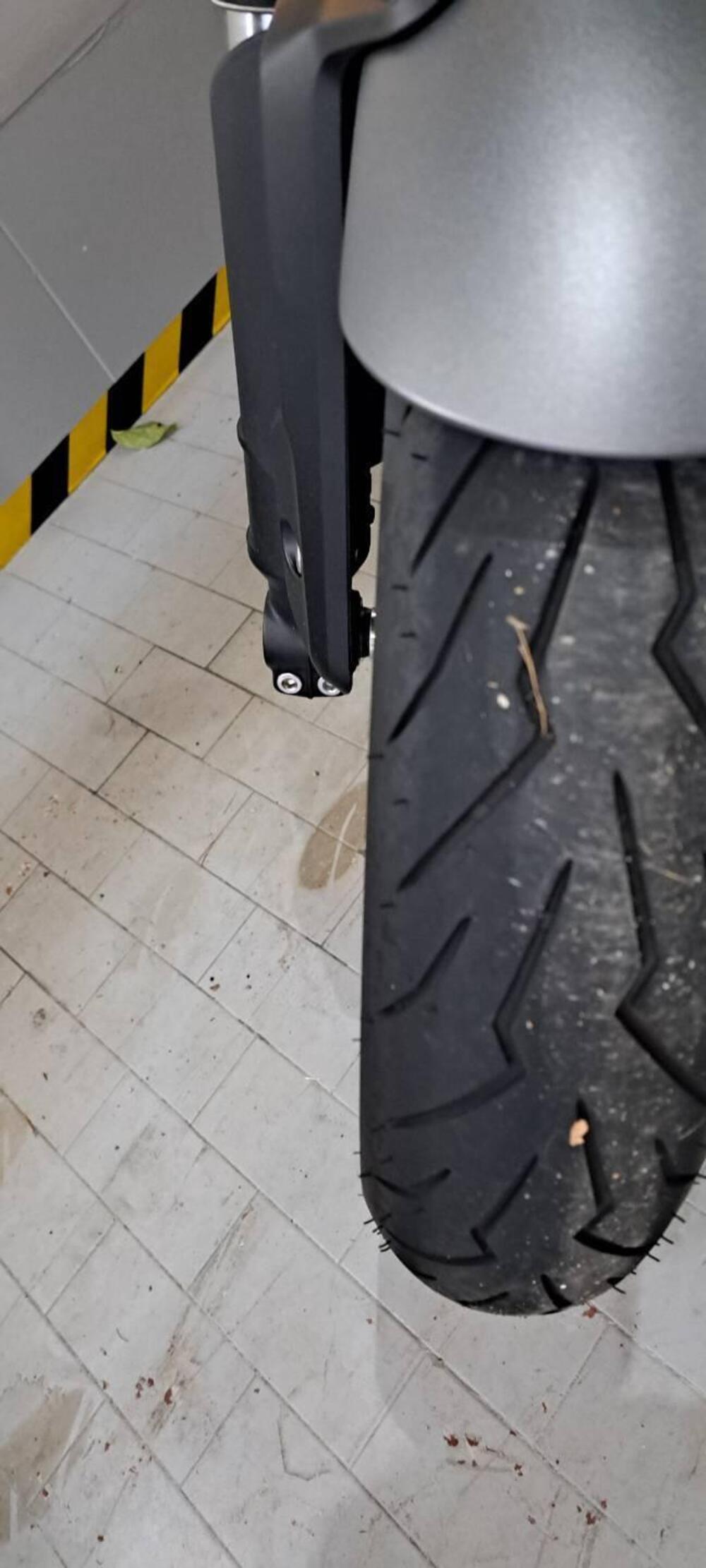 Triumph Speed 400 (2024 - 26) (3)