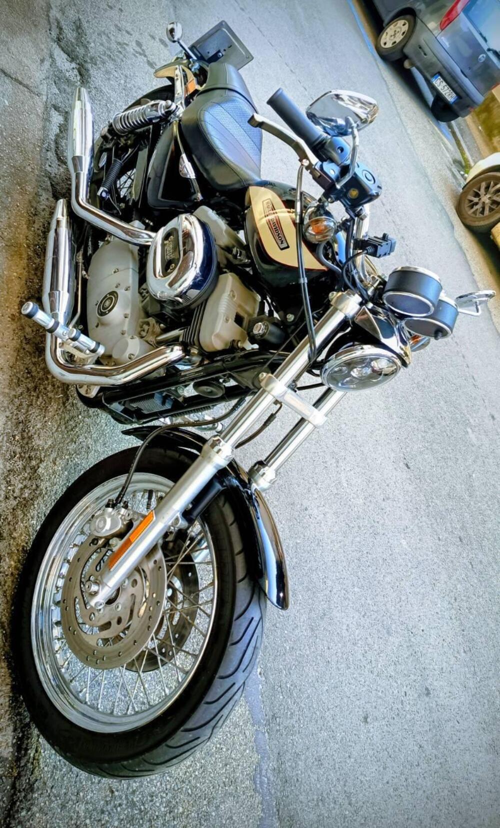 Harley-Davidson 1200 Roadster (2002 - 05) - XL 1200R (2)