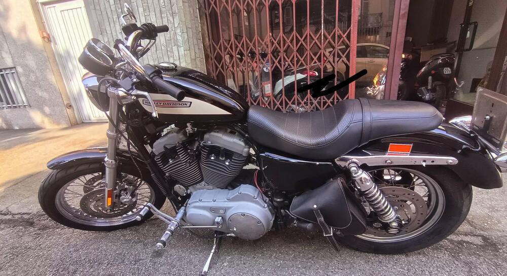 Harley-Davidson 1200 Roadster (2002 - 05) - XL 1200R (7)