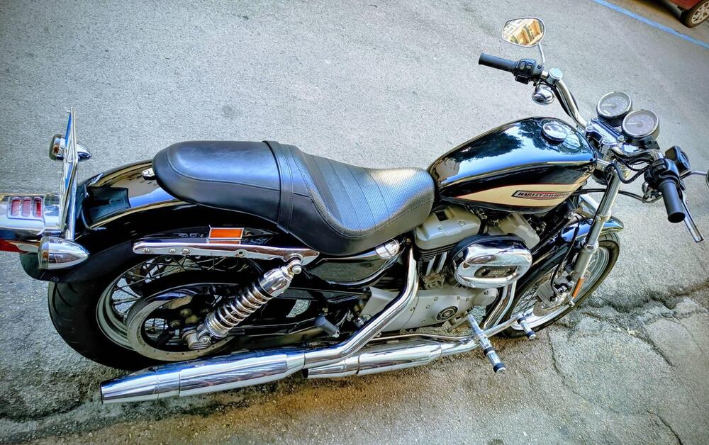 Harley-Davidson 1200 Roadster (2002 - 05) - XL 1200R (9)