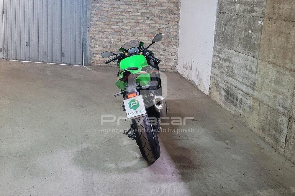 Kawasaki Ninja ZX-4RR (2024 - 26) (6)