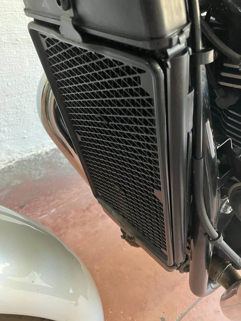 Triumph Bonneville T120 Bud Ekins SE (2020) (9)