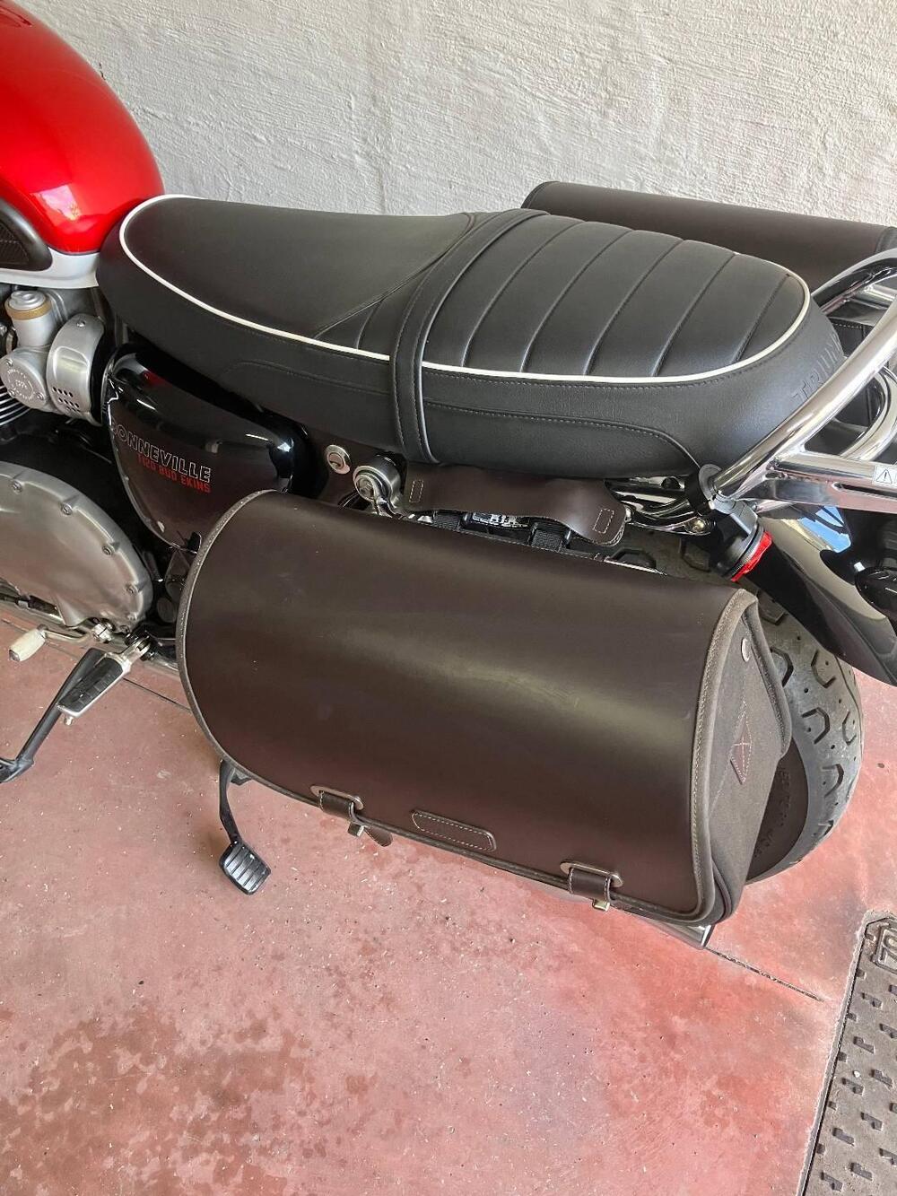 Triumph Bonneville T120 Bud Ekins SE (2020) (13)