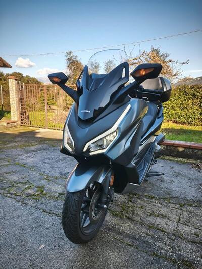 Honda Forza 350 Deluxe (2022 - 24) usata