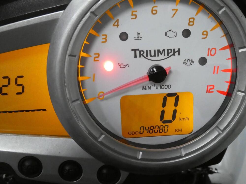 Triumph Speed Triple 1050 (2005 - 11) (2)