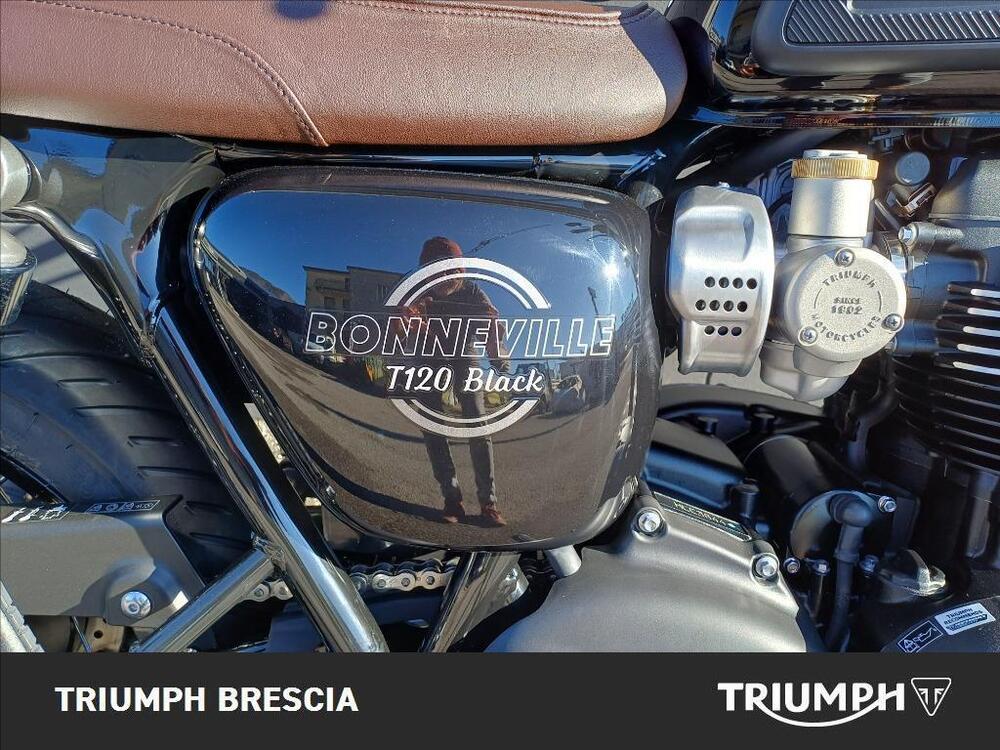 Triumph Bonneville T120 Black (2026) (6)