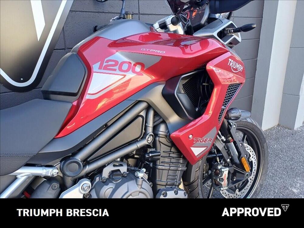 Triumph Tiger 1200 GT Pro (2024 - 26) (5)