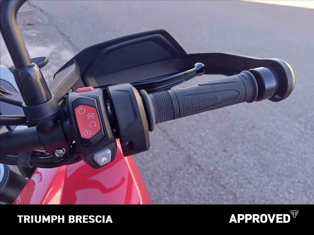 Triumph Tiger 1200 GT Pro (2024 - 26) (9)