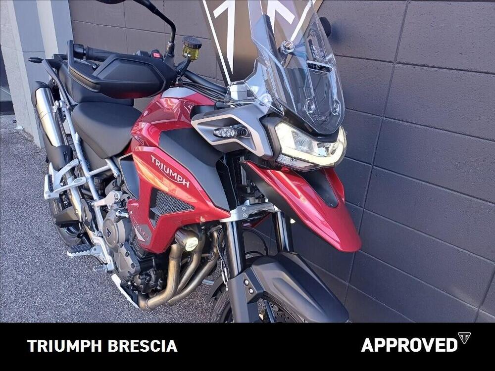 Triumph Tiger 1200 GT Pro (2024 - 26) (6)