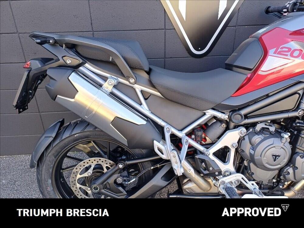 Triumph Tiger 1200 GT Pro (2024 - 26) (4)
