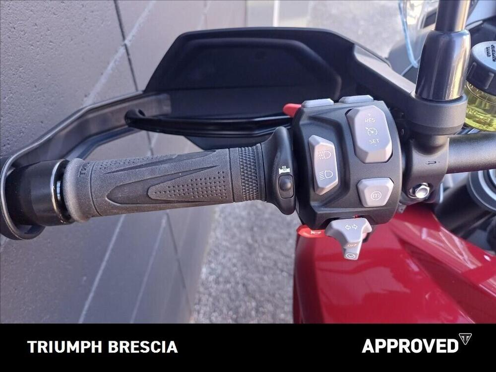 Triumph Tiger 1200 GT Pro (2024 - 26) (8)