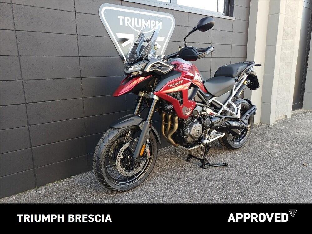 Triumph Tiger 1200 GT Pro (2024 - 26) (12)
