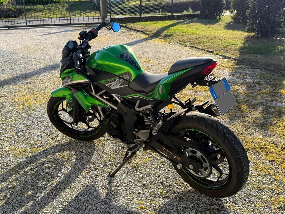 Kawasaki Z 125 (2019 - 20) (3)