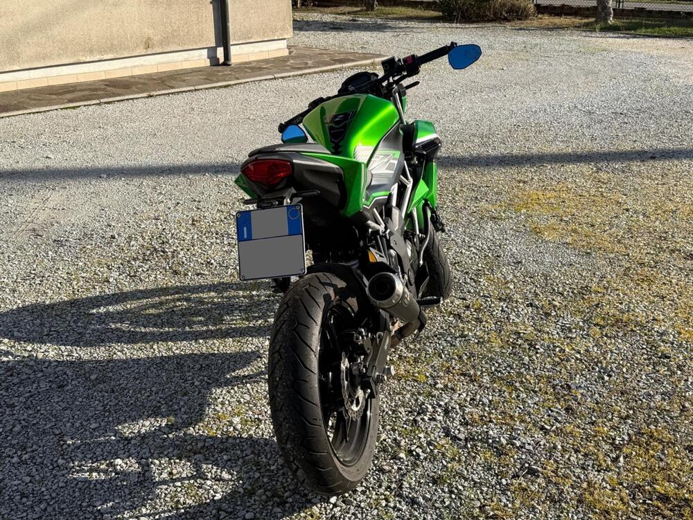 Kawasaki Z 125 (2019 - 20) (4)
