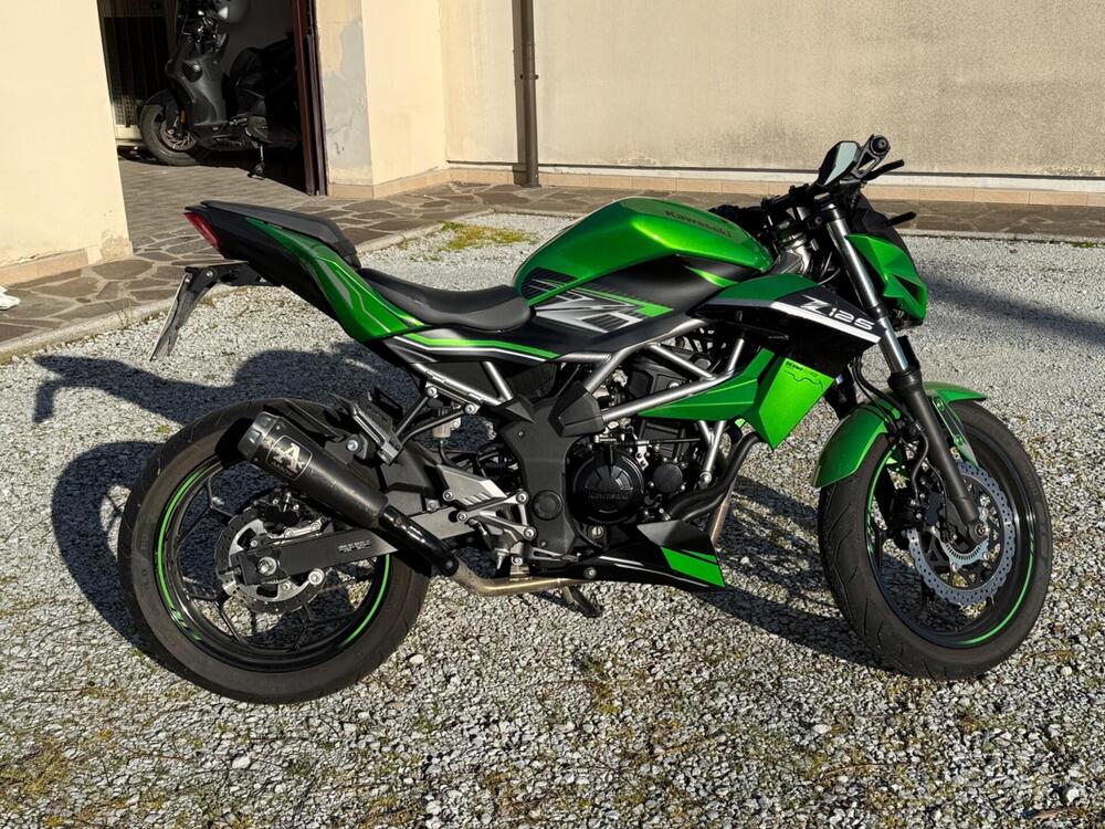 Kawasaki Z 125 (2019 - 20) (6)