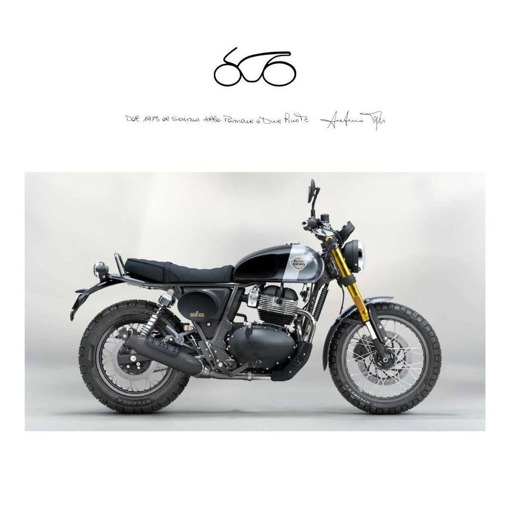 Royal Enfield Bear 650 (2025 - 26)