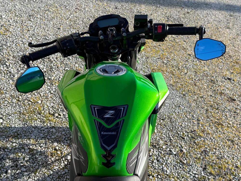Kawasaki Z 125 (2019 - 20) (9)