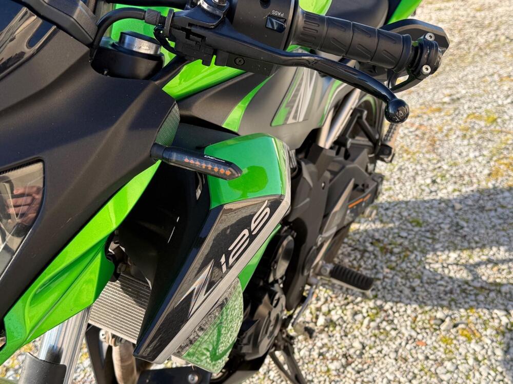 Kawasaki Z 125 (2019 - 20) (10)
