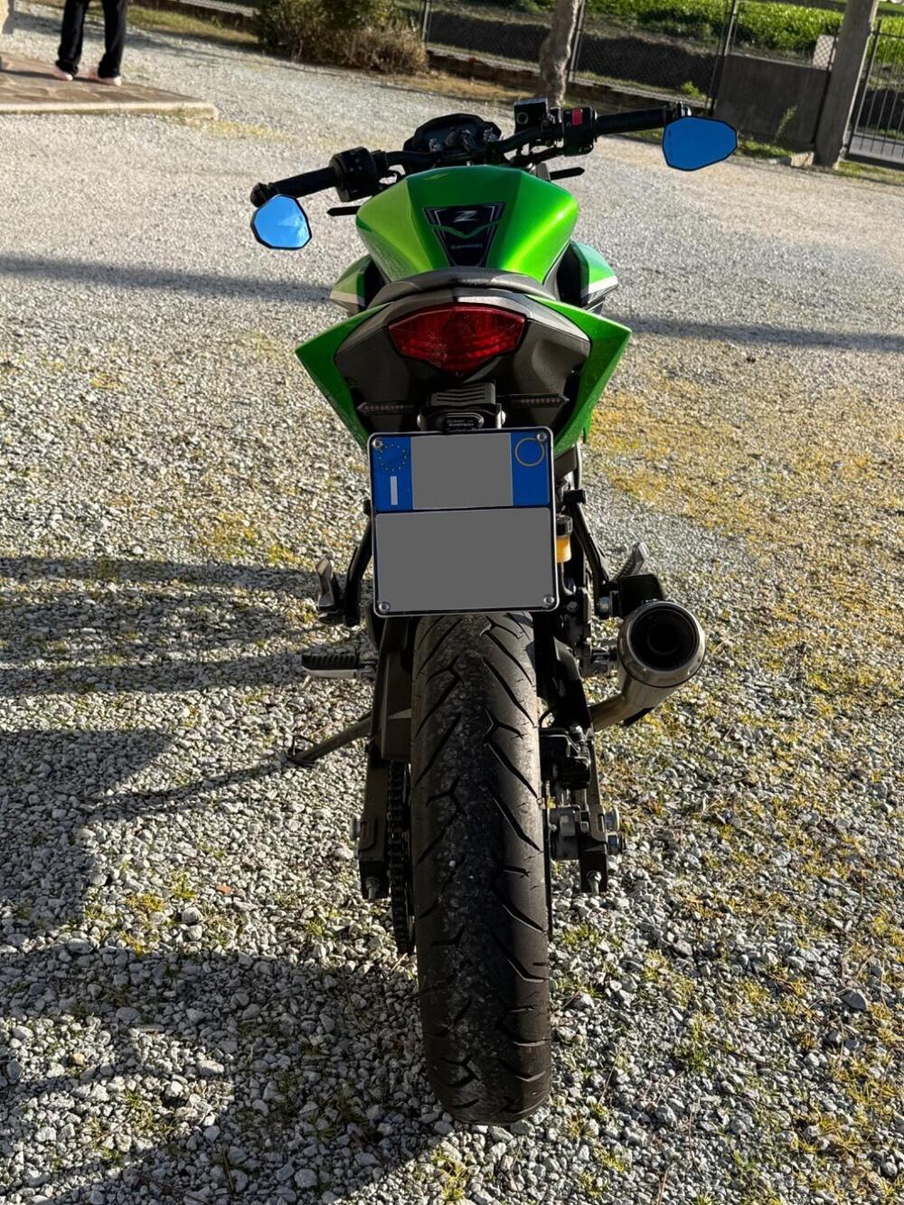 Kawasaki Z 125 (2019 - 20) (13)