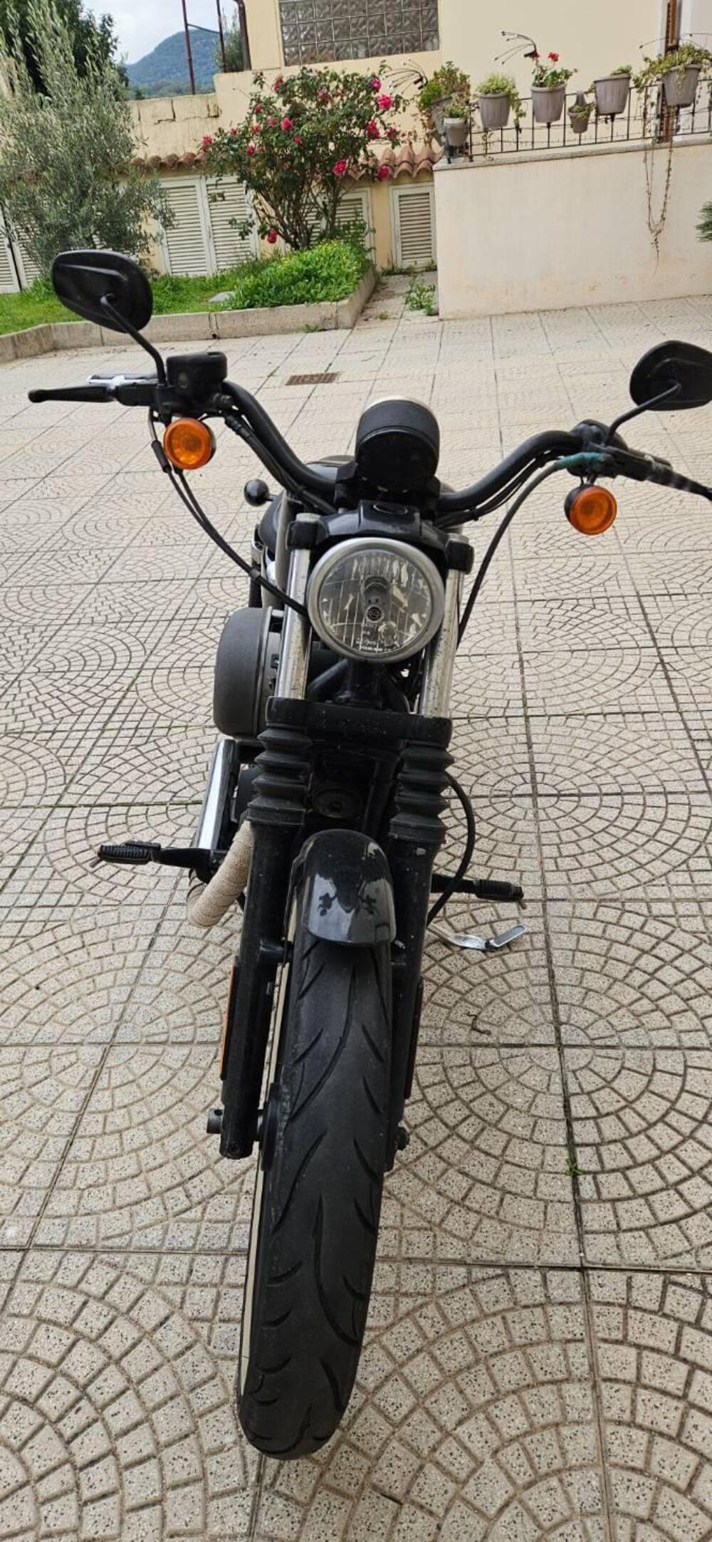 Harley-Davidson XL 1200N Nightster (2008 - 12) (4)