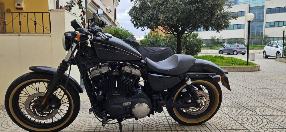 Harley-Davidson XL 1200N Nightster (2008 - 12) (5)
