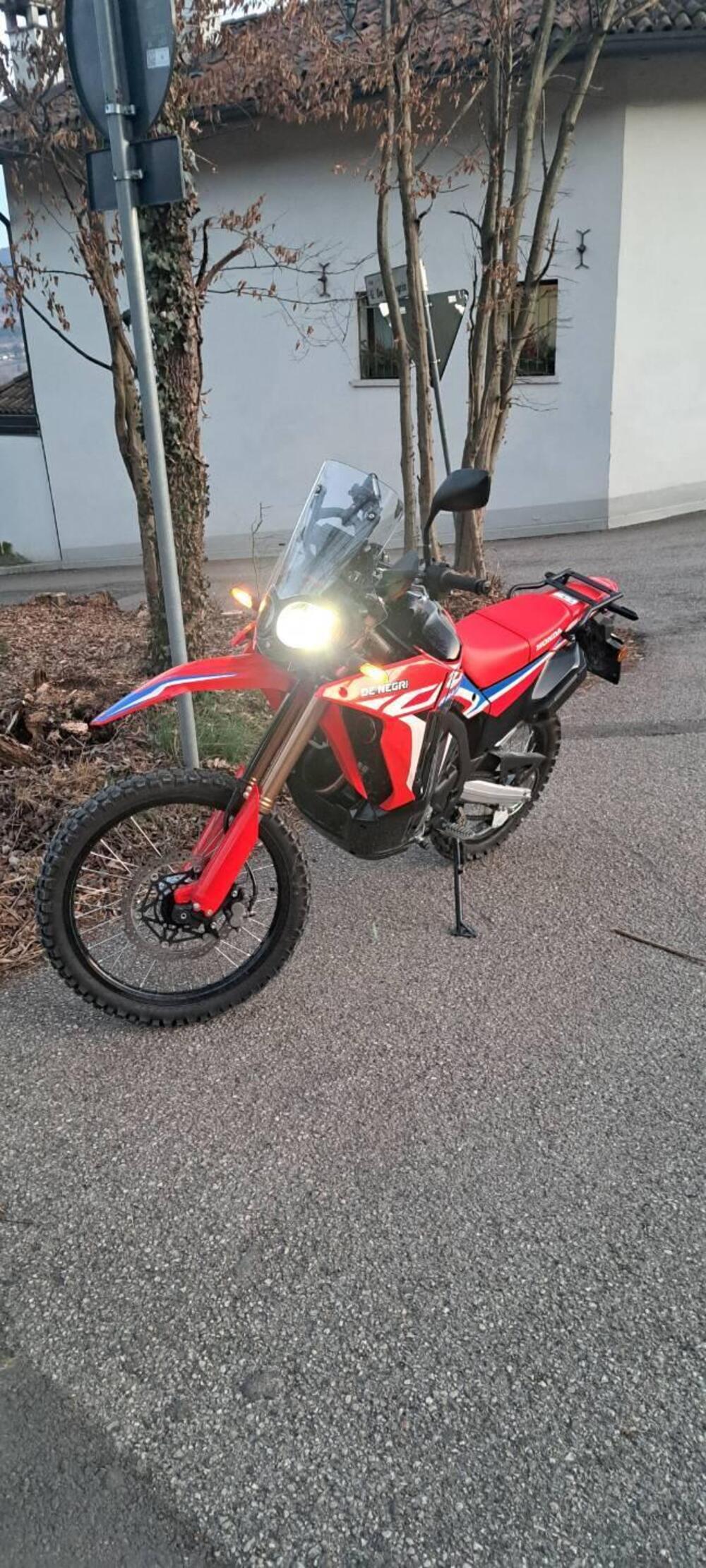 Honda CRF 300 Rally (2021 - 24) (3)