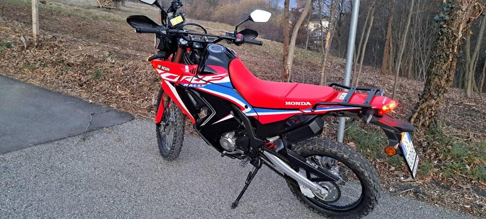 Honda CRF 300 Rally (2021 - 24) (6)