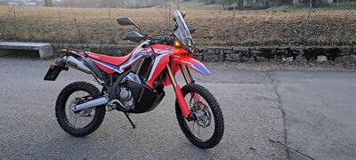 Honda CRF 300 Rally (2021 - 24) usata